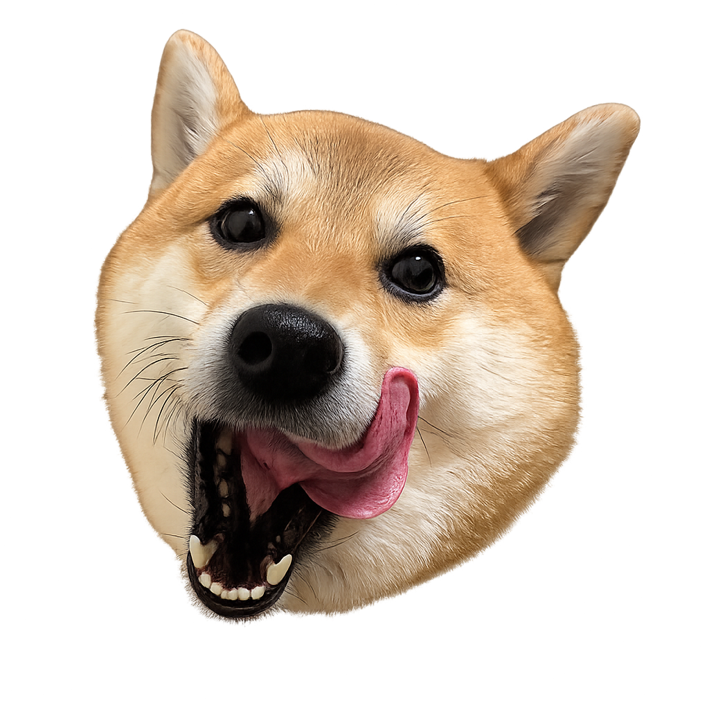 www.momoshiba.dog favicon